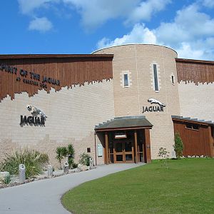 Chester Zoo 2003 - Outside the Spirit of the Jaguar