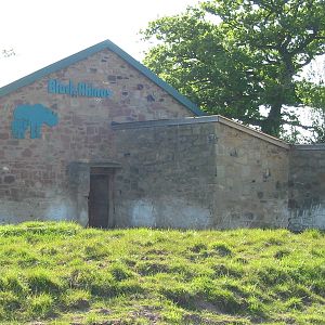 Chester Zoo 2003 - Black Rhinoceros exhibit