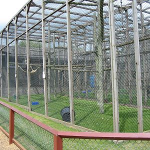 Twycross Zoo 2003 - General view
