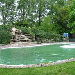 Twycross Zoo 2003 - Sea Lion exhibit