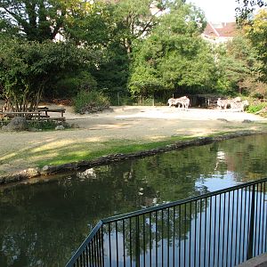 Basel Zoo 2006 - Zebra exhibit