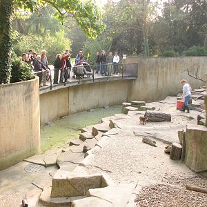 Basel Zoo 2006 - Monkey exhibit