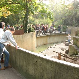 Basel Zoo 2006 - Monkey exhibit
