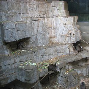 Basel Zoo 2006 - Indoor Monkey exhibit