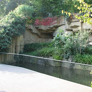 Basel Zoo 2006 - Lemur exhibit from the right