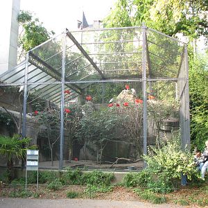 Basel Zoo 2006 - Outdoor Scarlet Ibis enclosure