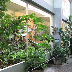 Basel Zoo 2006 - Inside the Bird House