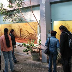 Basel Zoo 2006 - Inside the Bird House