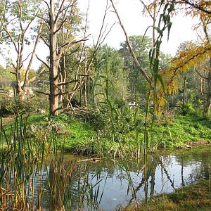 Basel Zoo 2006 - Monkey Island