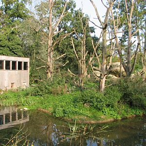 Basel Zoo 2006 - Monkey Island
