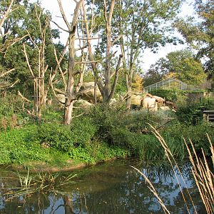 Basel Zoo 2006 - Monkey Island