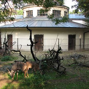 Basel Zoo 2006 - Lesser Kudu exhibit at the historic Antelope House