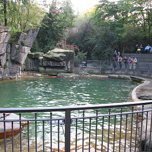 Basel Zoo 2006 - Sea Lion pool
