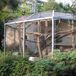 Basel Zoo 2006 - Outdoor Ape enclosure