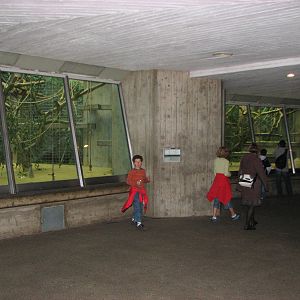 Basel Zoo 2006 - Inside the Ape House