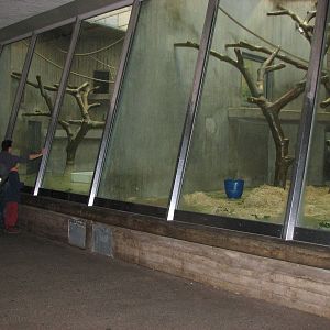 Basel Zoo 2006 - Exhibits inside the Ape House