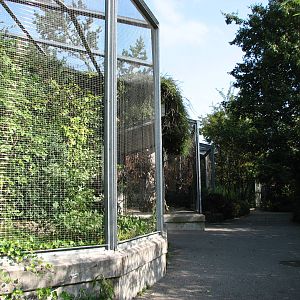 Zürich Zoo 2006 - Aviaries close to the entrance