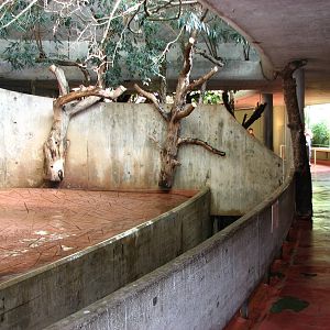Zürich Zoo 2006 - Inside the Rhinoceros House
