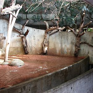 Zürich Zoo 2006 - Indoor exhibit in the Rhinoceros House