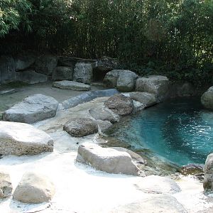 Zürich Zoo 2006 - Inside the Common Seal exhibit