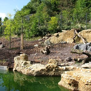Zürich Zoo 2006 - Asiatic Lion exhibit