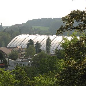 Zürich Zoo 2006 - Roof of the Masoala House from a distance