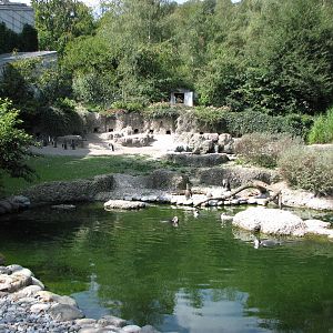 Zürich Zoo 2006 - Penguin exhibit