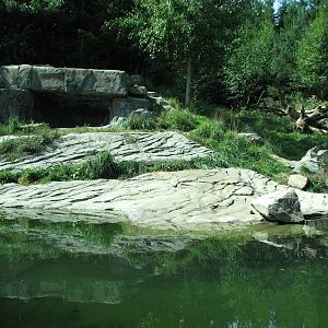 Zürich Zoo 2006 - Siberian Tiger exhibit