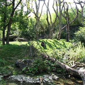 Zürich Zoo 2006 - Immersion exhibit for Spectacled Bears
