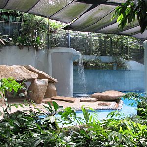 Singapore Zoo 2008 - Polar Bear exhibit further to the right