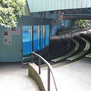 Singapore Zoo 2008 - Left-side of the Polar Bear viewing area