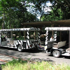 Singapore Zoo 2008 - Zoo Train