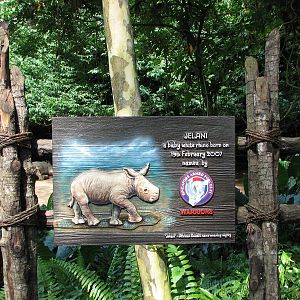 Singapore Zoo 2008 - Beautiful sign about the birth of a White Rhinoceros