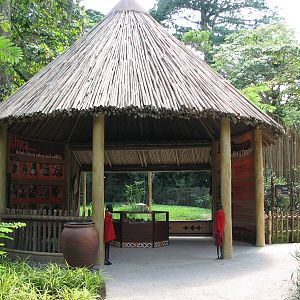 Singapore Zoo 2008 - Hut in front of the Cheetah exhibit in Wild Africa