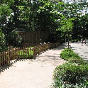 Singapore Zoo 2008 - Pathway in Wild Africa