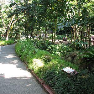 Singapore Zoo 2008 - Pathway and visitor area in front of the Ostrich exhib
