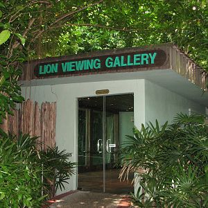 Singapore Zoo 2008 - Entrance to the Lion indoor viewing