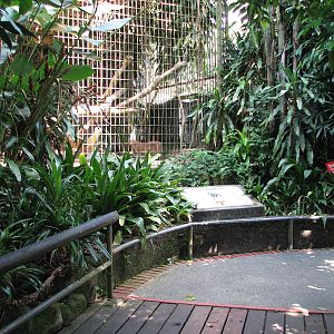 Singapore Zoo 2008 - Caracal enclosure