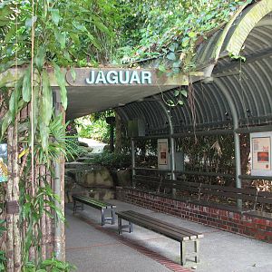Singapore Zoo 2008 - Viewing area in front of the Jaguar exhibit