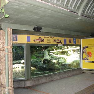 Singapore Zoo 2008 - Front of the Jaguar exhibit