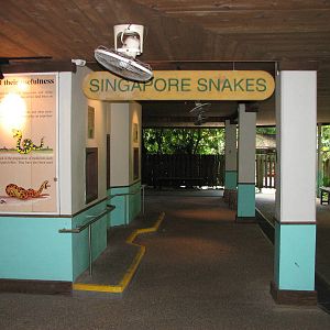 Singapore Zoo 2008 - Singapore Snakes section in the Snake House