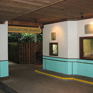 Singapore Zoo 2008 - Singapore Snakes section in the Snake House