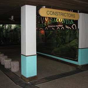 Singapore Zoo 2008 - Entrance to the Constrictors section in the Snake Hous