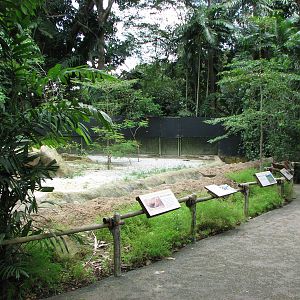 Singapore Zoo 2008 - Komodo Dragon exhibit
