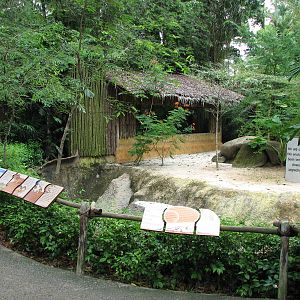 Singapore Zoo 2008 - Another Komodo Dragon exhibit