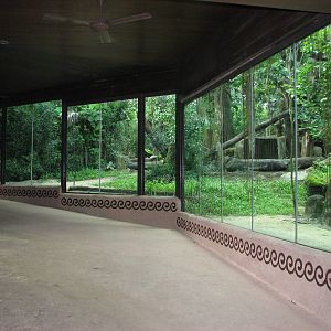 Singapore Zoo 2008 - Side of the Malayan Sun Bear exhibit
