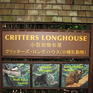 Singapore Zoo 2008 - Sign outside the Critters Longhouse