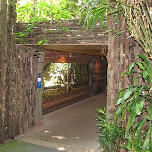 Singapore Zoo 2008 - Entrance of the Critters Longhouse