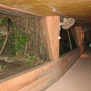 Singapore Zoo 2008 - Inside the Critters Longhouse