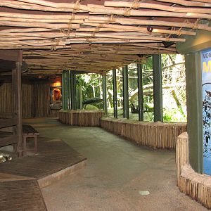 Singapore Zoo 2008 - Viewing area at the Proboscis Monkey exhibit